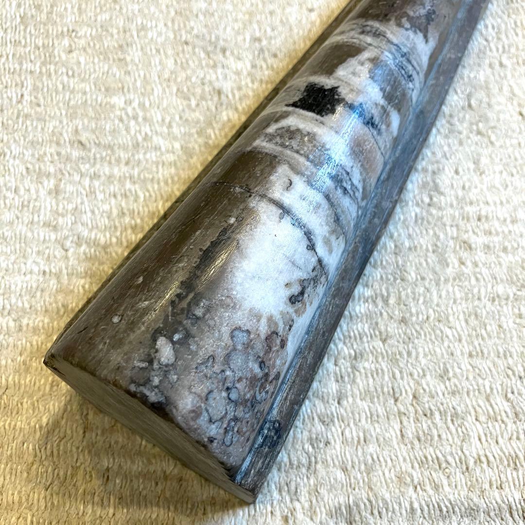 超希少 特大 オルソセラス オルトセラス 直角貝 化石 古生代 インテリア