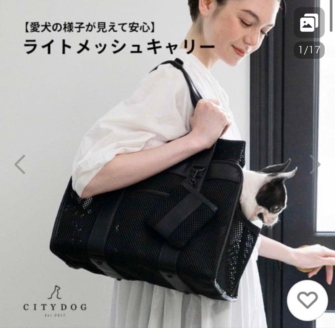 美品citydogシティドッグ/ライトメッシュキャリーSブラック