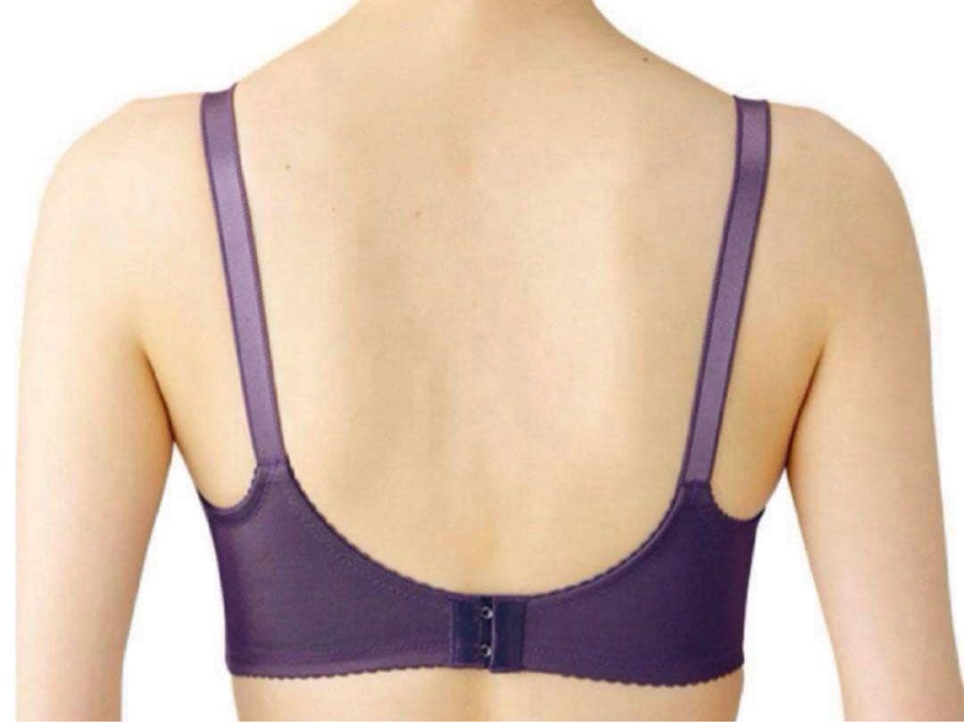 龍　シャルレ　ドゥヴァンナ　ブラ　F70 2枚