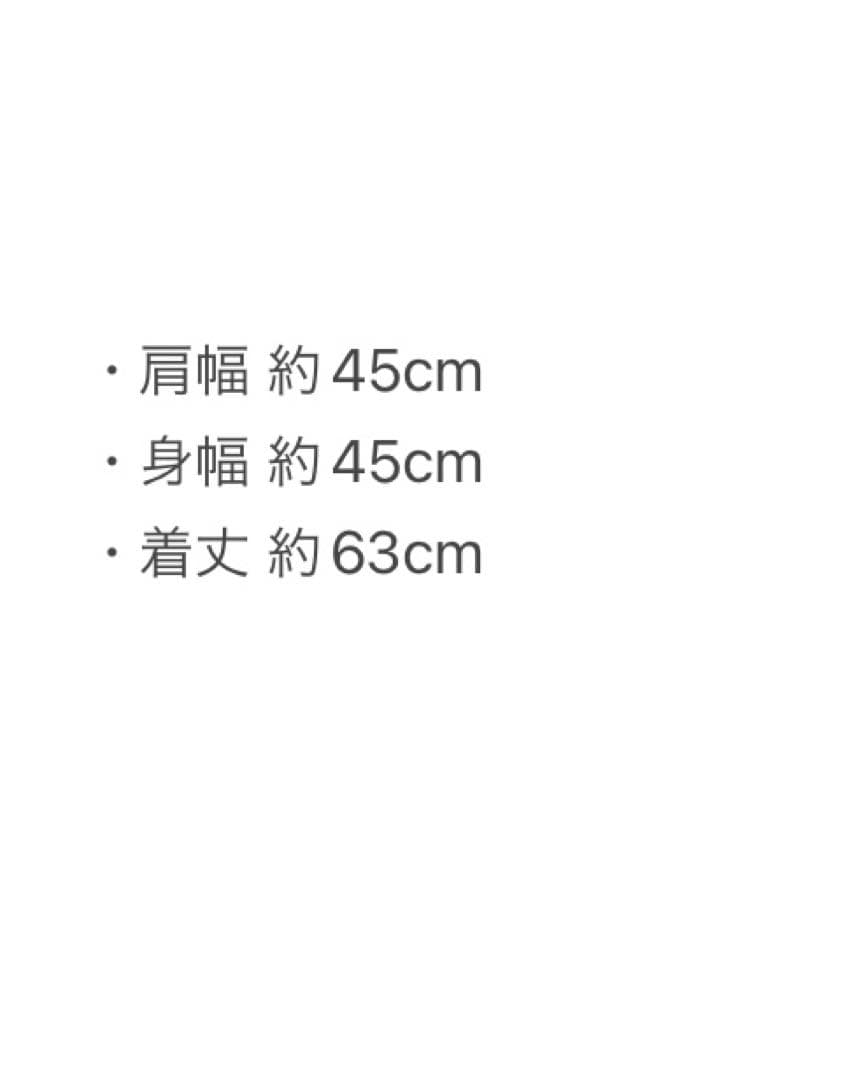Litmus GANNI shiny puff vestダウンベスト