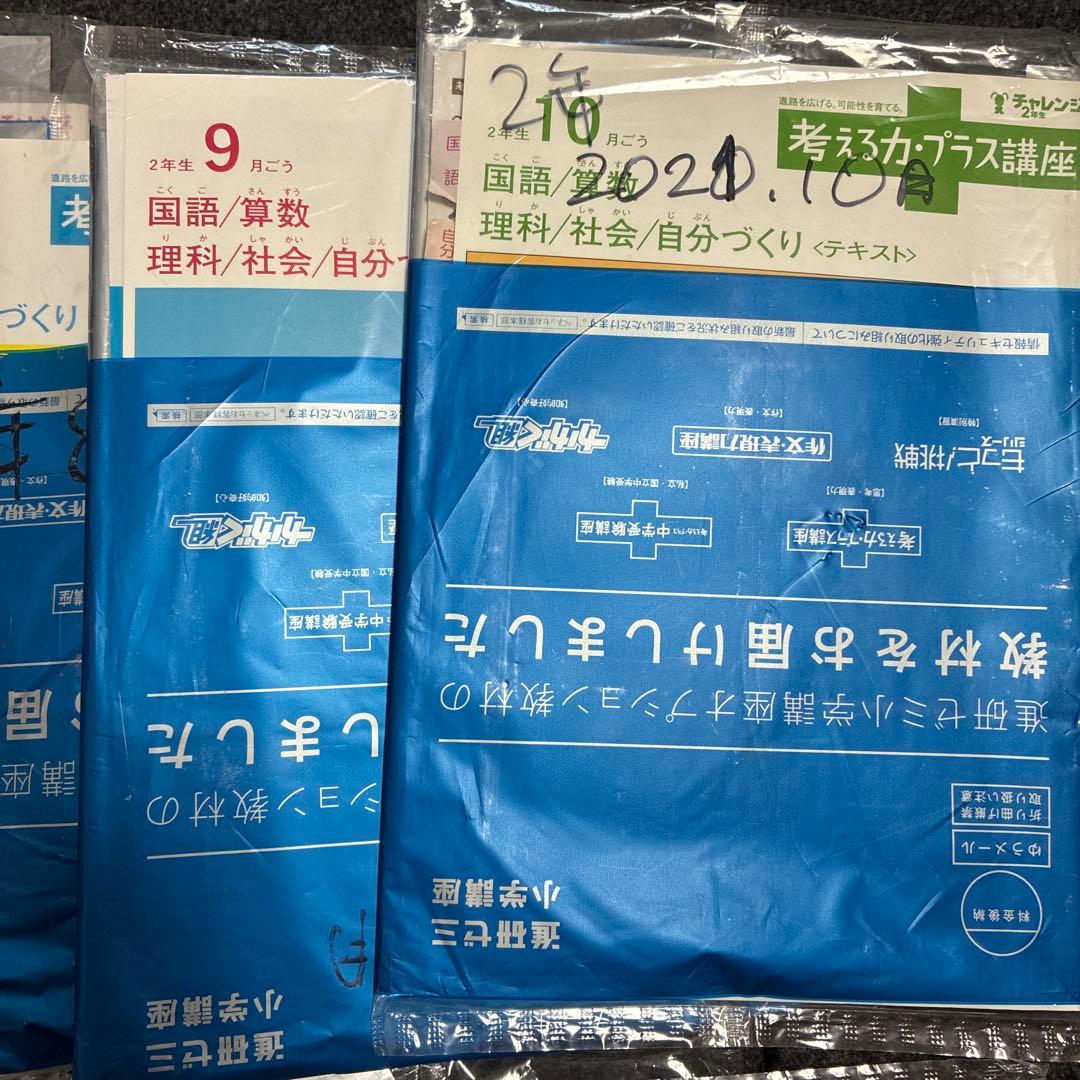 進研ゼミ 小学講座 考える力・プラス 2年生2021年6~3月 10ヶ月分