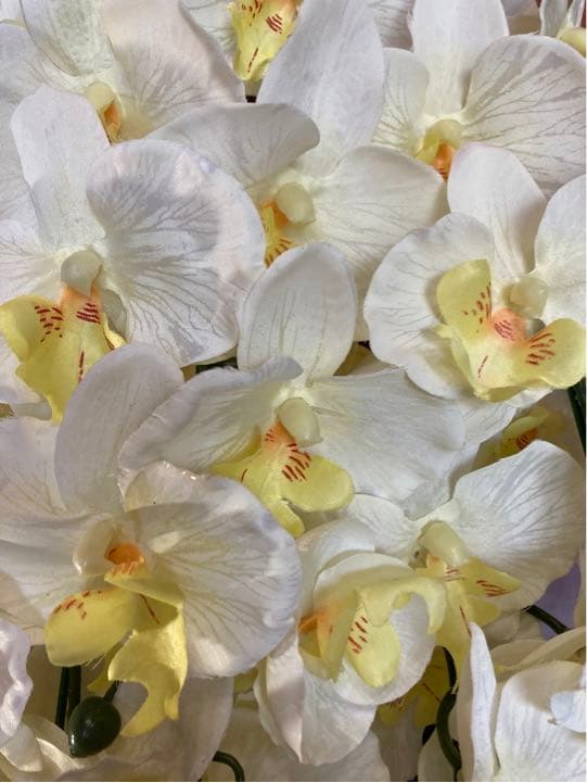 光触媒　人工観葉植物　ウォールグリーン　フェイクグリーン　胡蝶蘭10本gj