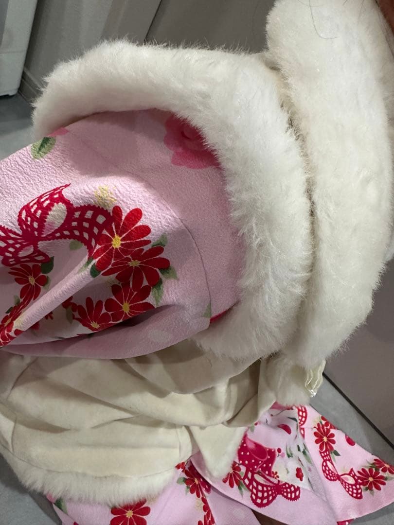 雪琉