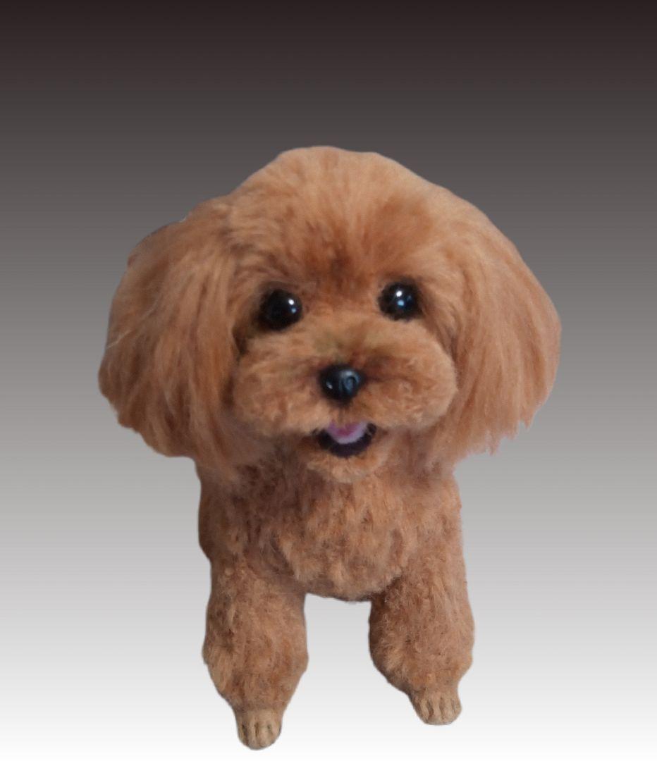 愛犬さんの羊毛フェルトオーダー・マロンチョコ様ご確認専用