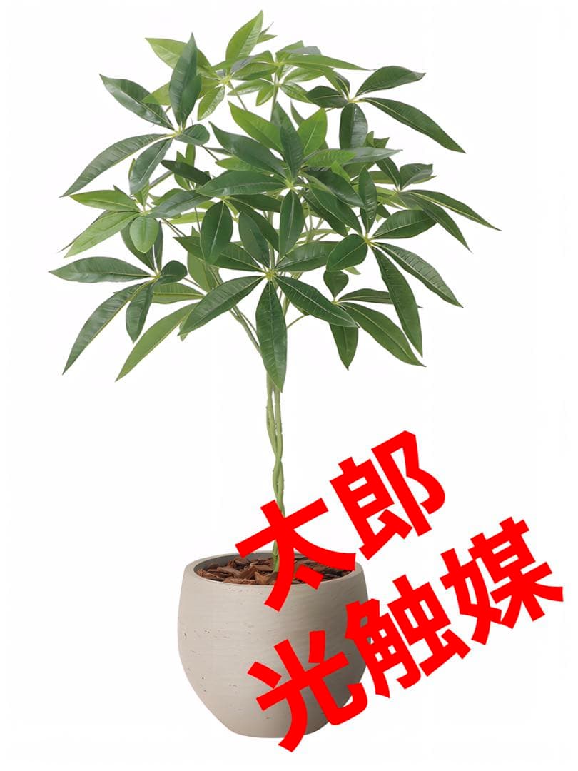 光触媒　人工観葉植物　ウォールグリーン　フェイクグリーン　ナチュラルパキラ90