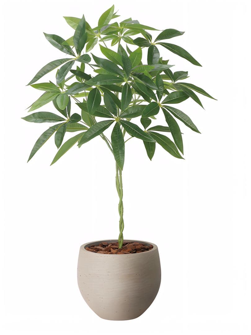 光触媒　人工観葉植物　ウォールグリーン　フェイクグリーン　ナチュラルパキラ90