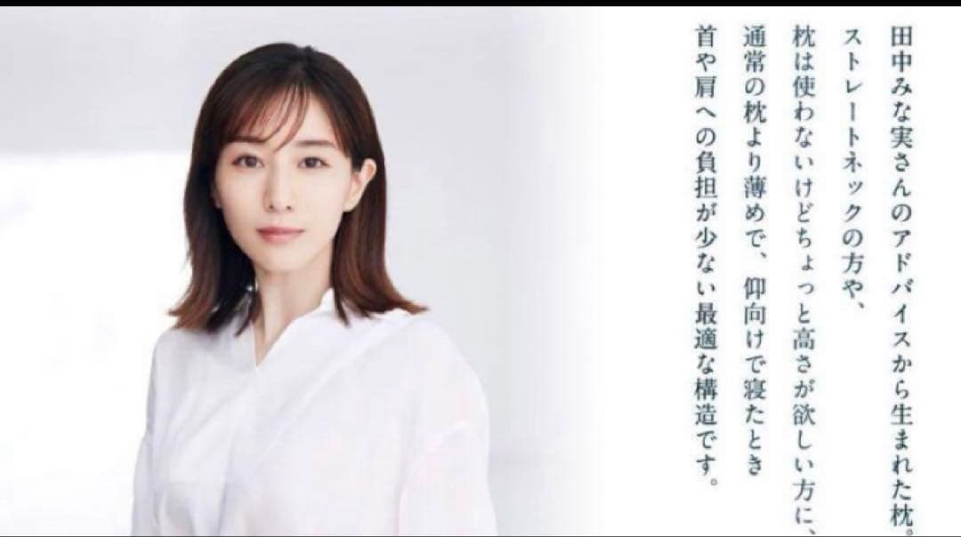 airweave pillow slim エアウィーヴ　ピロースリム　田中みな実