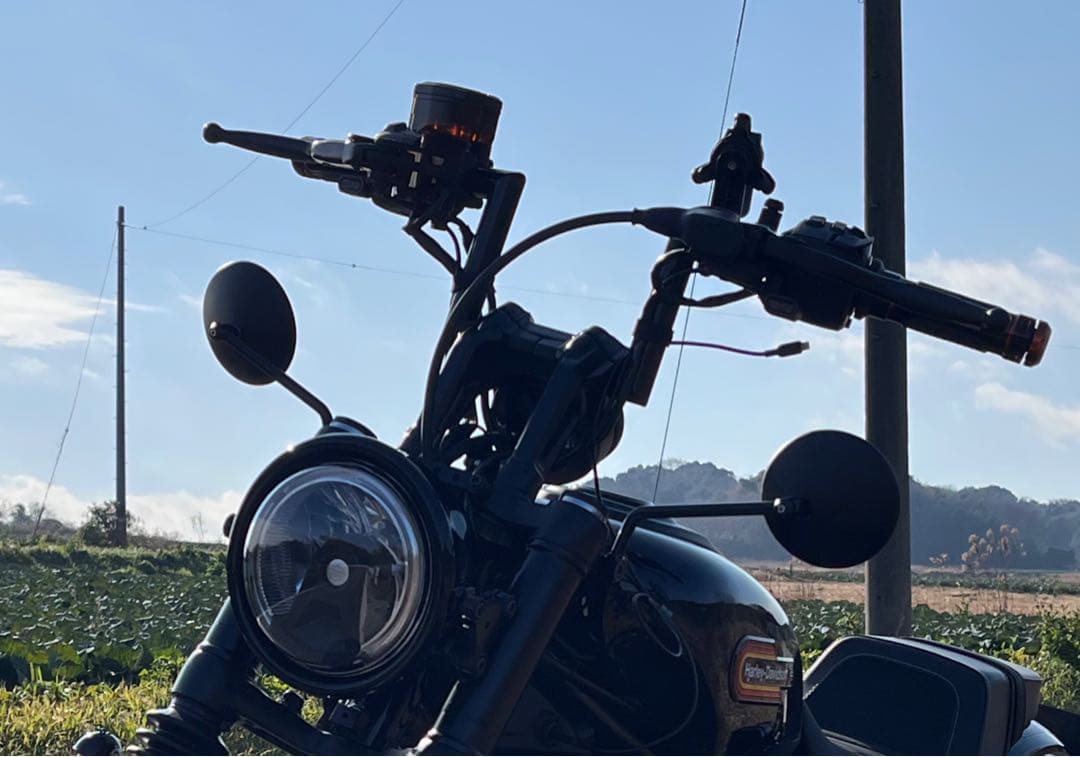 RH975　INFINITY　サイドミラーブラケット、ミラー付き（左右セット）