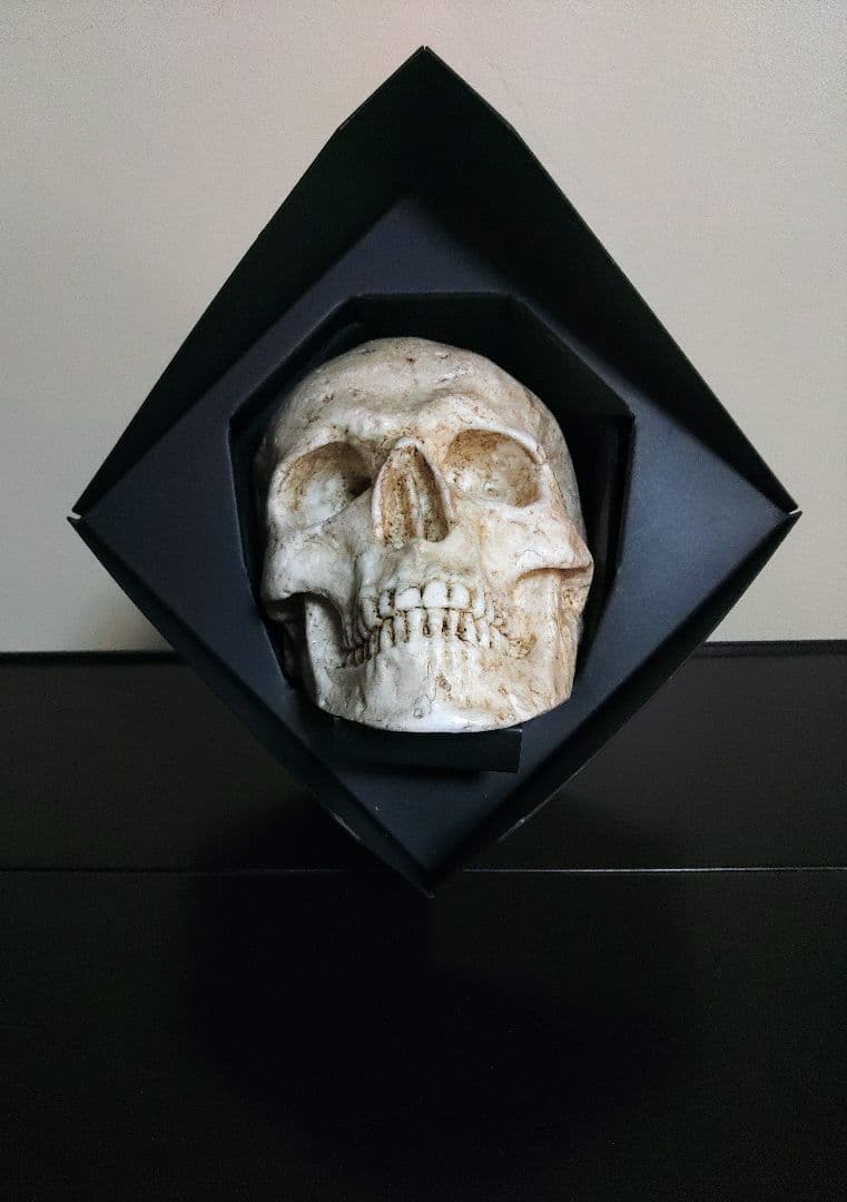 ▼▼▼キャンドルジュン▼▼▼ドクロウ▼▼▼▼▼▲▲▲▲▲◎