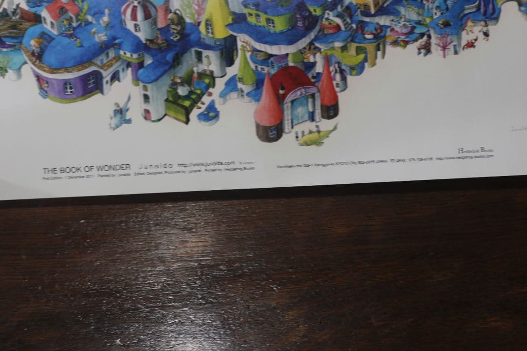 【美品】junaida THE BOOK OF WONDER 2011ジュナイダ