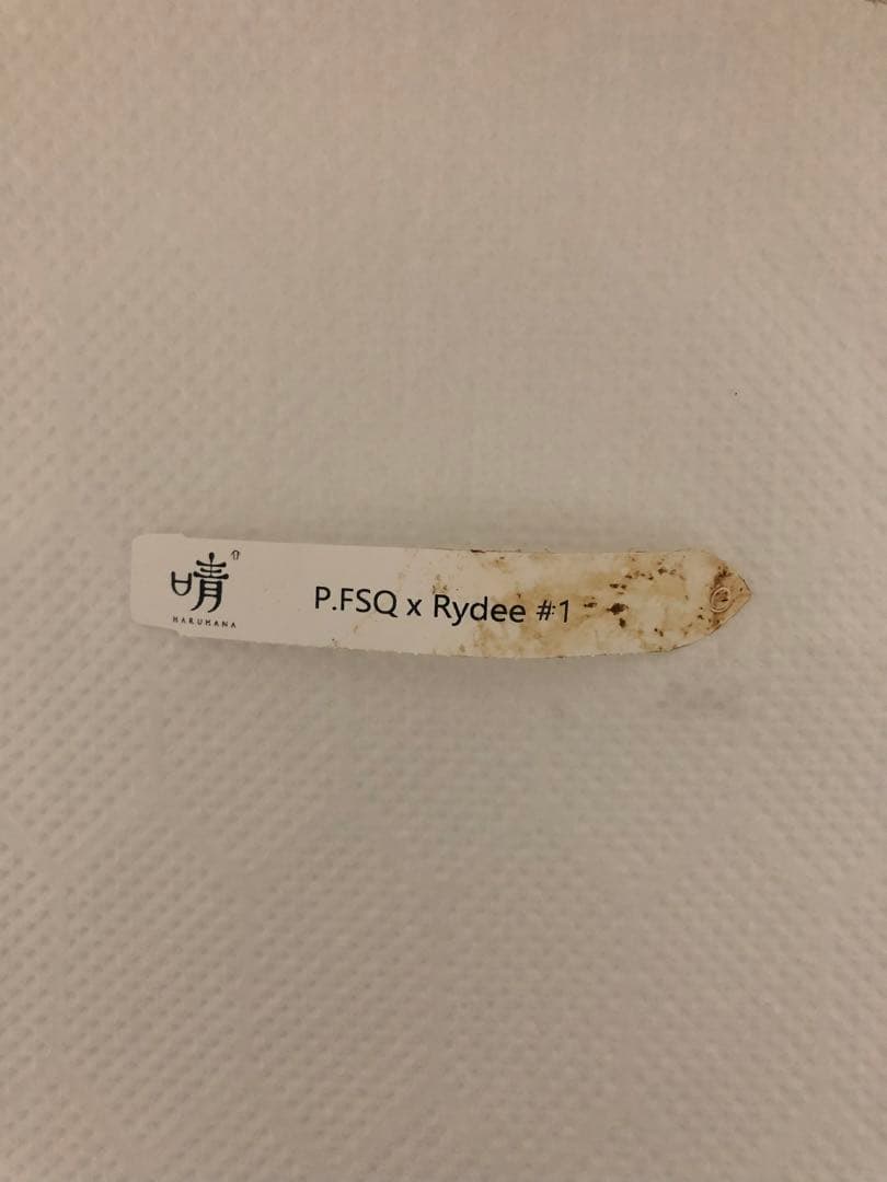 ★ Saaki★ビカクシダ　P.FSQ x Rydeen #1 晴花鹿苑