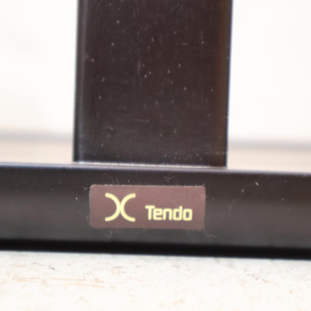 TENDO 天童木工 座椅子 サペリ T-5313 2脚セット 原好輝 和モダン