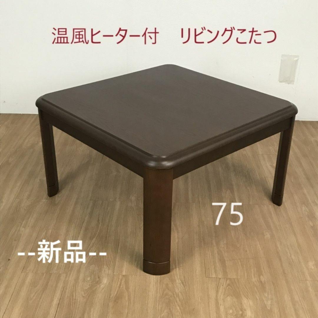 wildあーちゃん