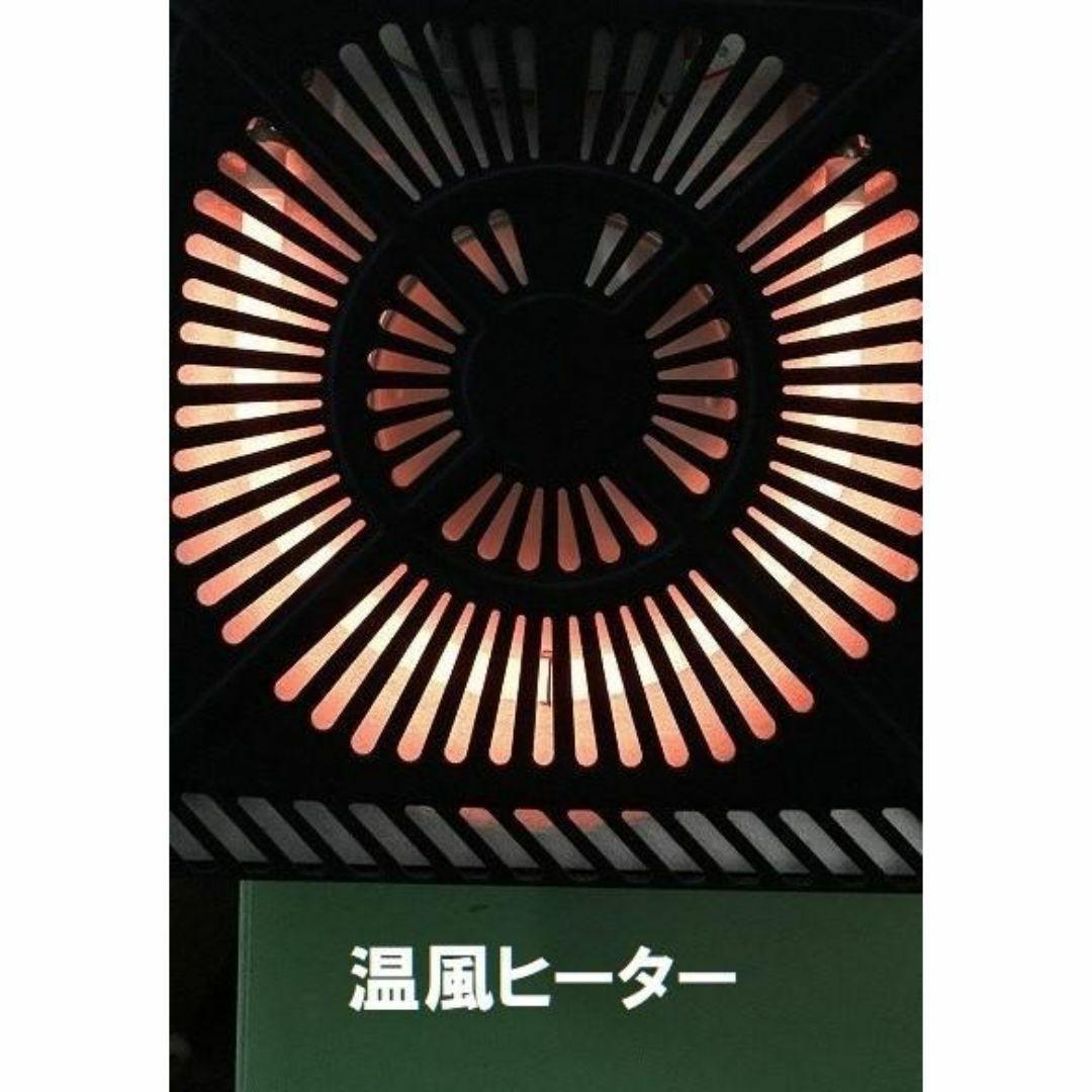 wildあーちゃん