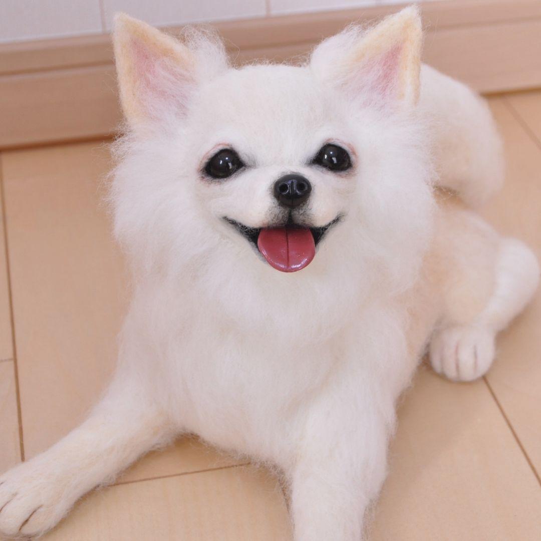 送料無料♡伏せをするチワワ