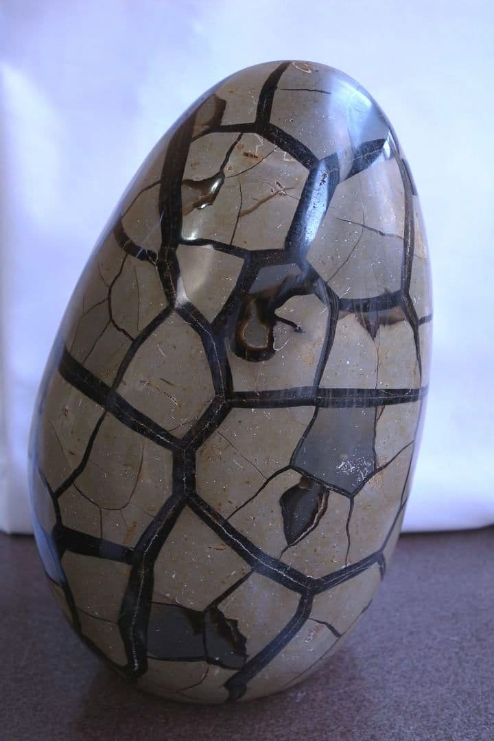 原石タートルジャスパー