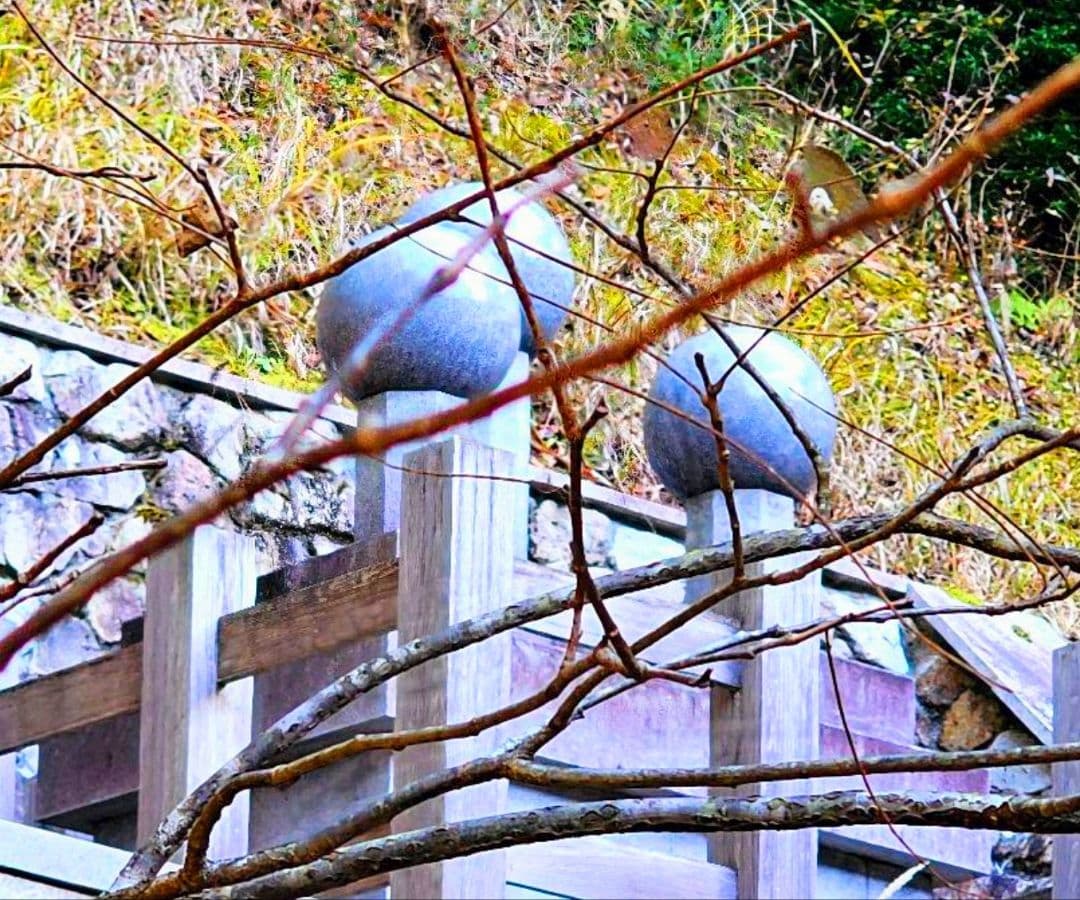 ✡️約12kgあり‼️超巨大‼️金蛇石さま 白蛇の脱け殻付き
