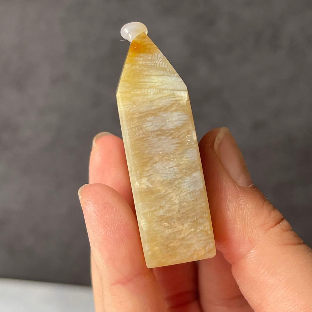 フォッシルコーラル ポイント