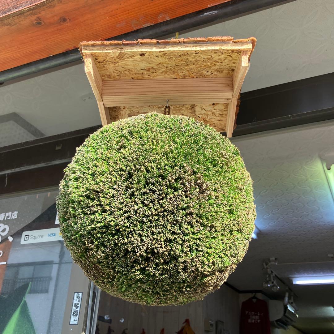 杉玉【屋根付き】③