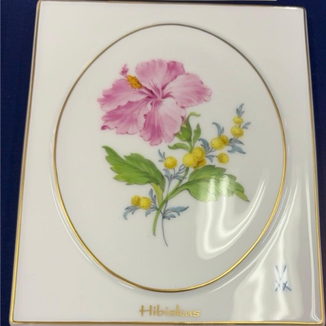 マイセンプラークハイビスカス