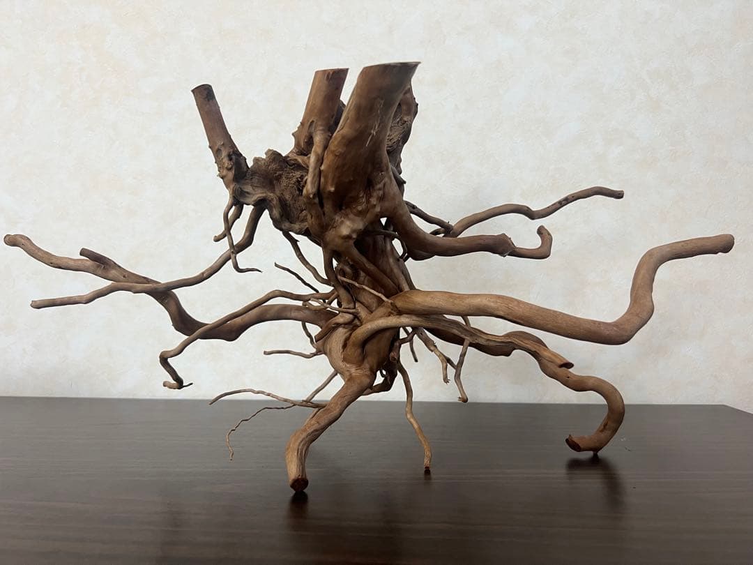 22321 ブランチウッド　流木　アクアリウム 沈水確認済