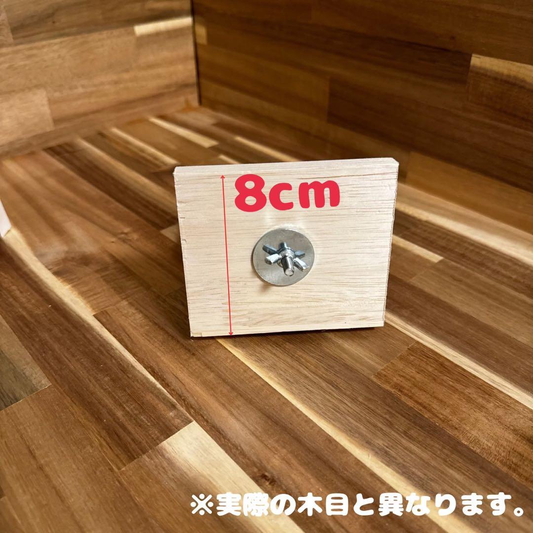 【もふりん工房】オリジナル チンチラさんお迎えスターターセット