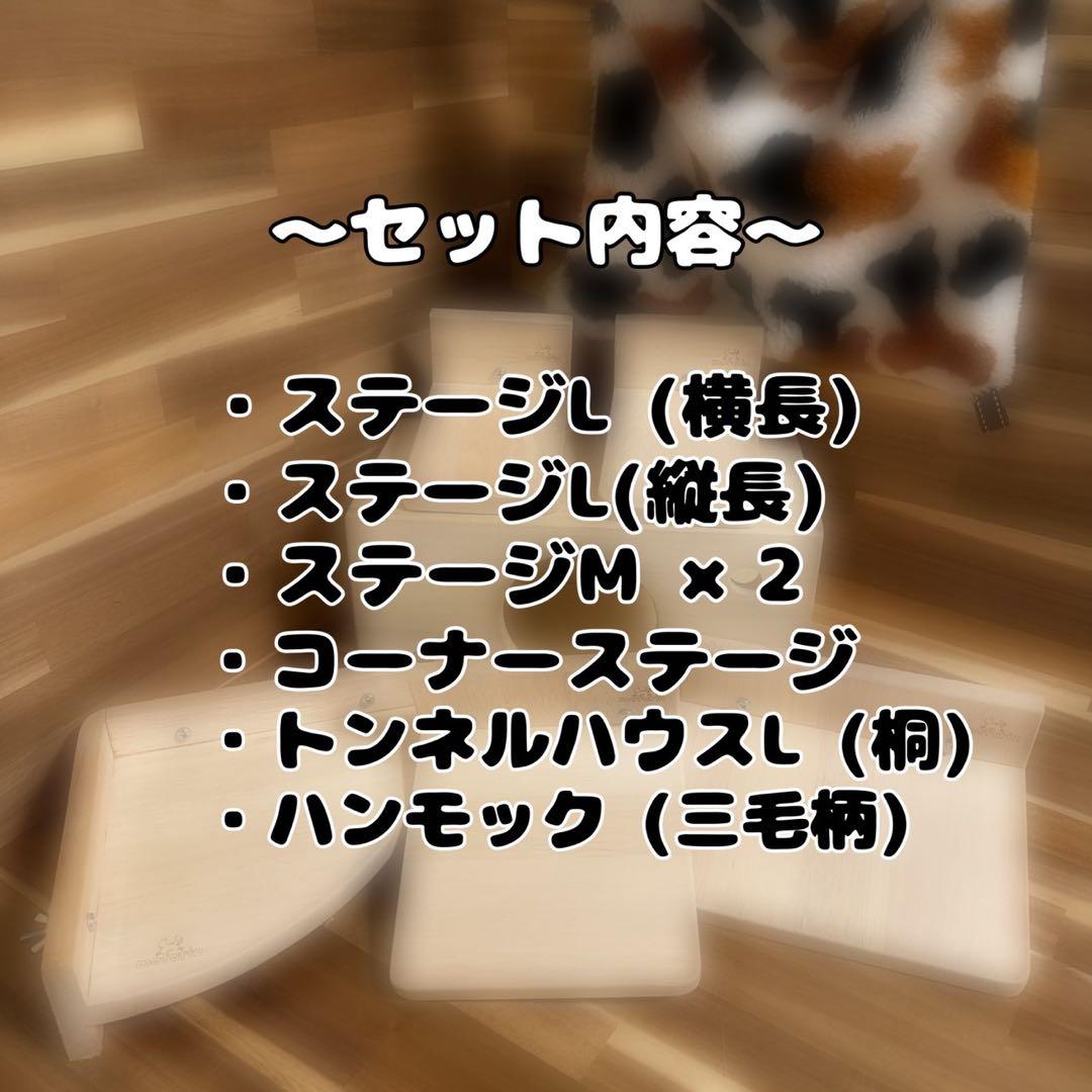 【もふりん工房】オリジナル チンチラさんお迎えスターターセット