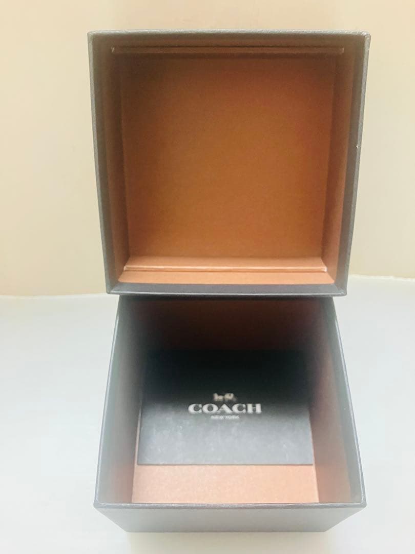 【新品未使用】COACH コーチ 腕時計 Perry Starry Dial