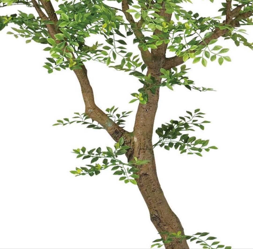 光触媒　人工観葉植物　フェイクグリーン　ゴールデンリーフコアッド