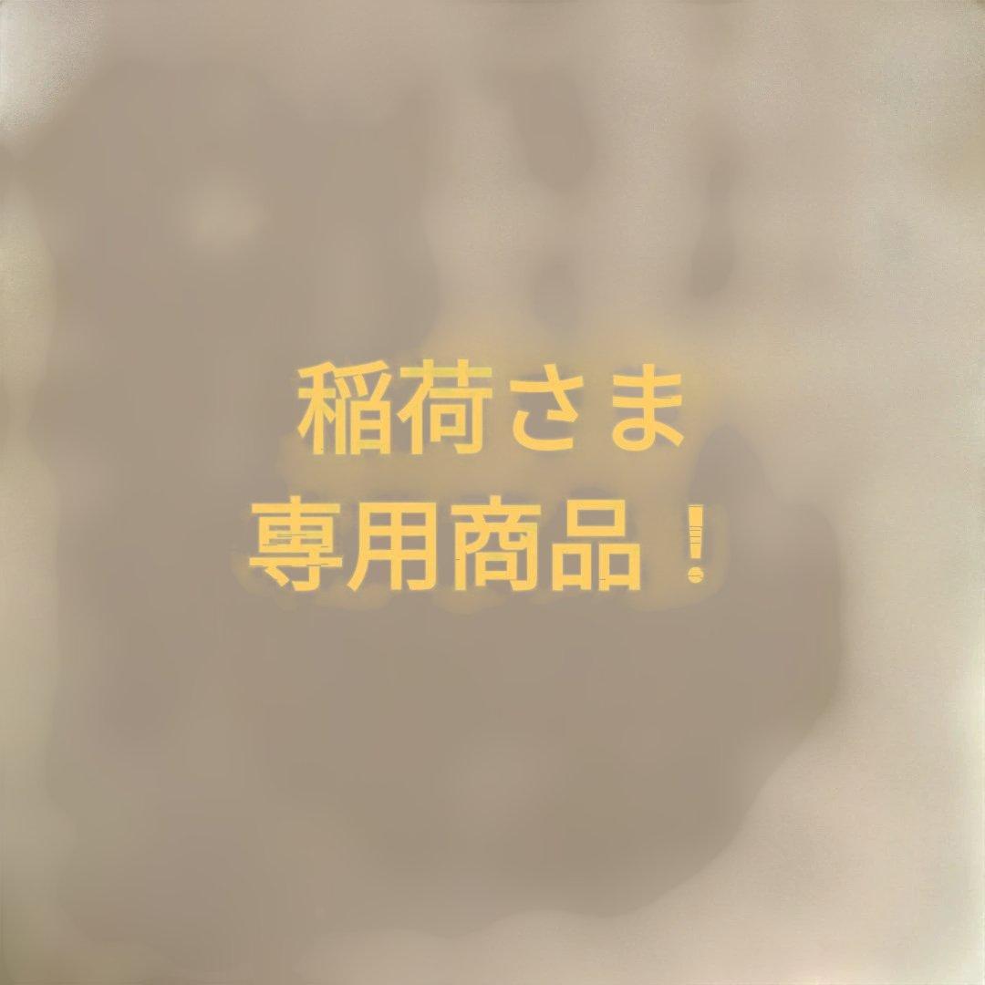 稲荷さま専用！ZUMAスノーボード160cm ビンディング付き