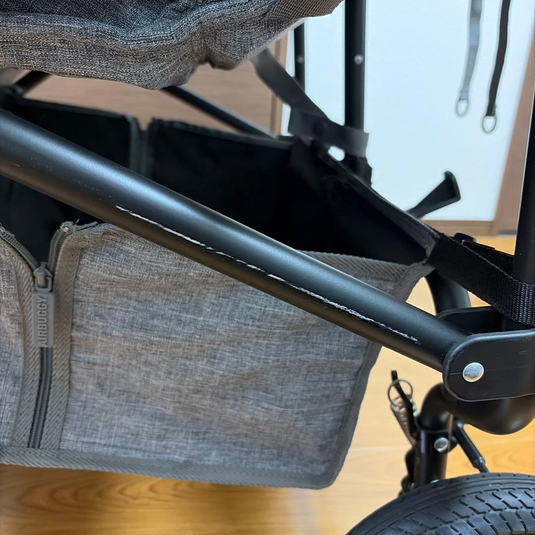 AirBuggy COCO DOUBLE（エアバギー ココダブル
