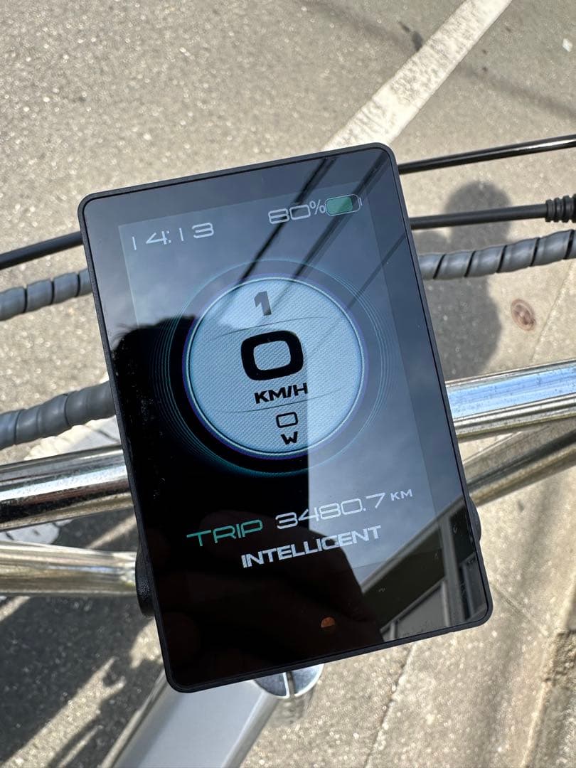 MATE X 250 Polar Silver 荷台付き ハンドルカスタム