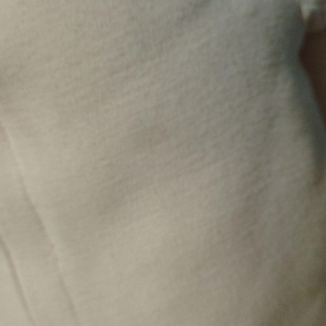 なまけたろう 抱き枕 竹炭入り　ぬいぐるみ　クッション