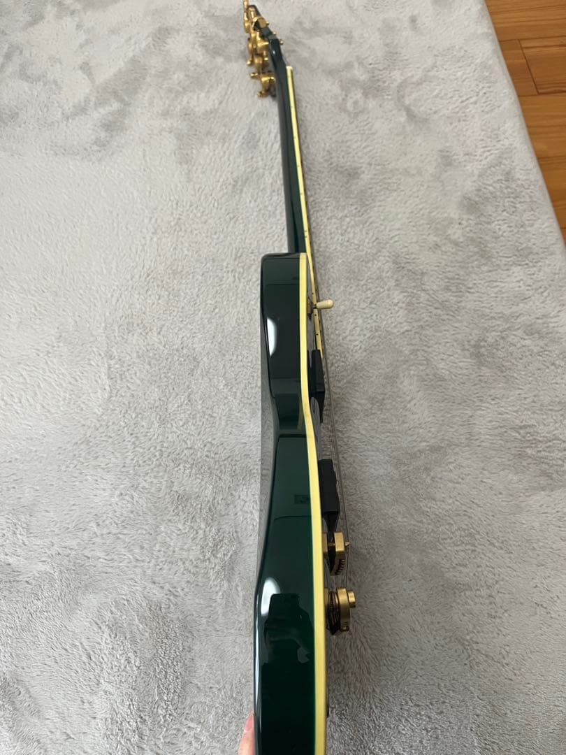 ギター Aira Pro II pe-509 
