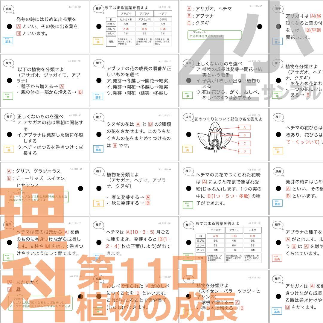 中学受験 暗記カード【4年上 理科 全セット 1-19回】組分けテスト対策