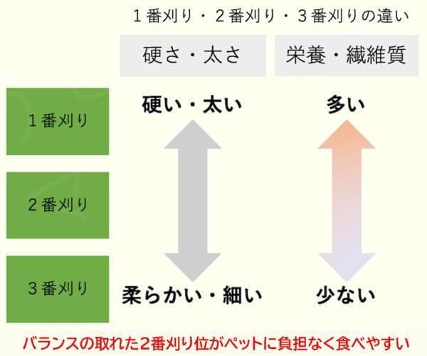 【6/30まで】US産 チモシー 50kg ２番刈り ソフトSプレミアム