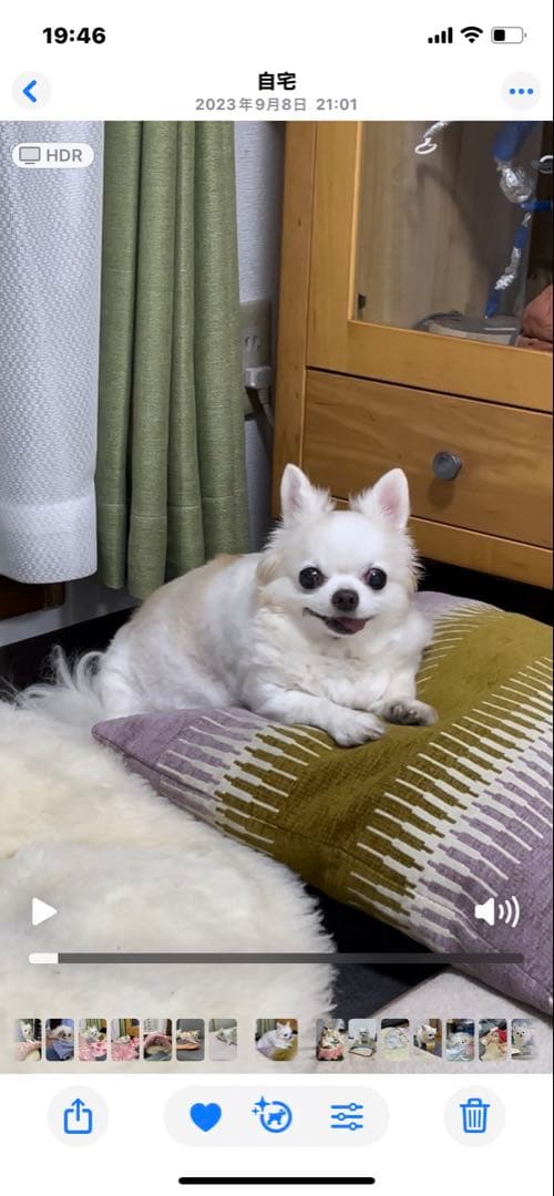 画像確認用　伏せポーズ