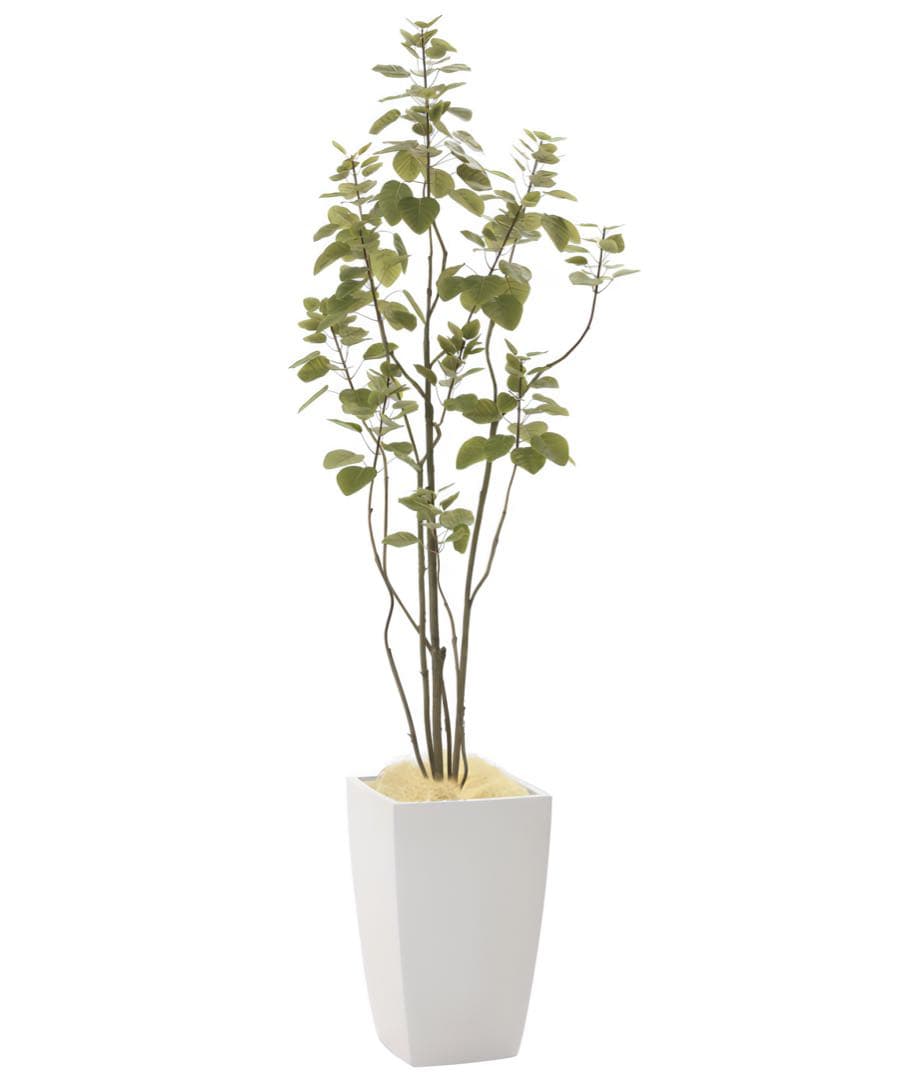 光触媒　人工観葉植物　フェイクグリーン　アーバンブランチツリー1.8