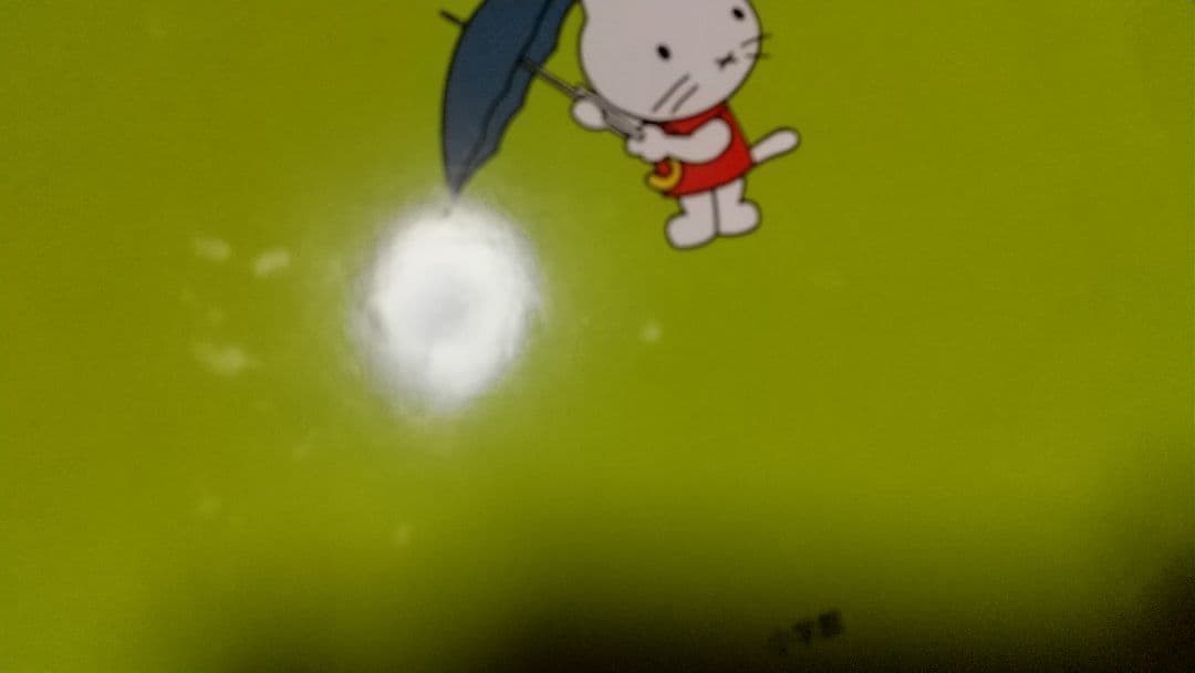 ムスティの絵本シリーズ 12冊セット