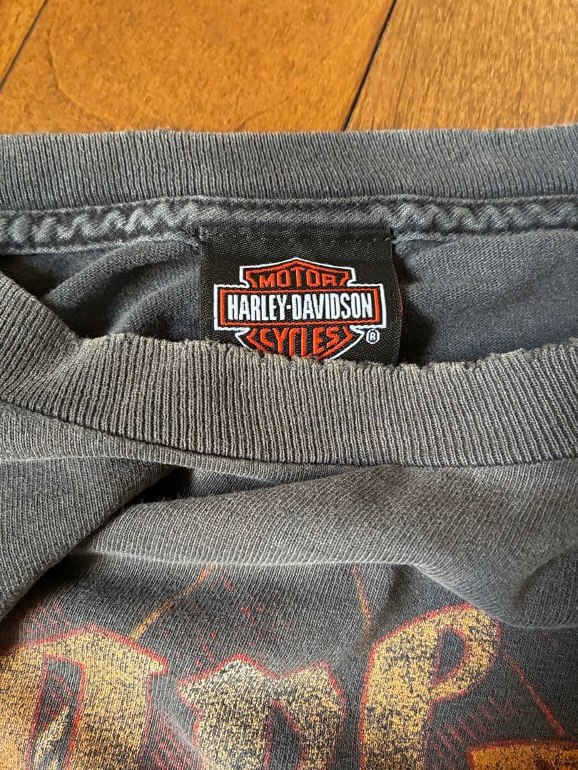 ハーレーダビッドソン ファイヤーパターン ロングtシャツ