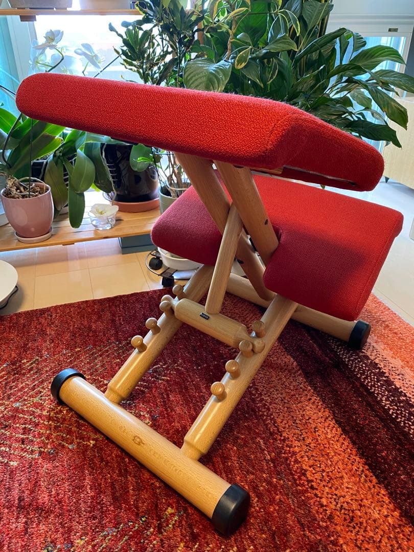 ストッケ　ブァリエール　マルチバランス　レッド　本国仕様