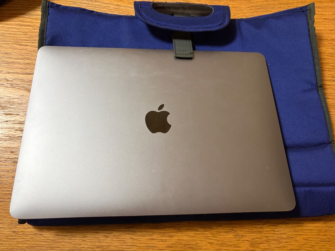 Patagonia ハーフマス メッセンジャーバッグ PCバッグ