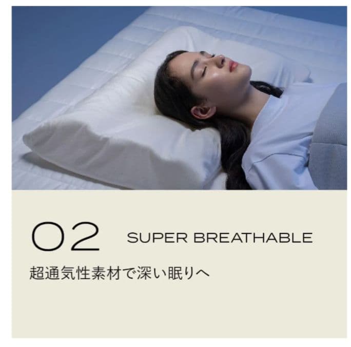 BRAIN SLEEP PILLOW ネックピロー