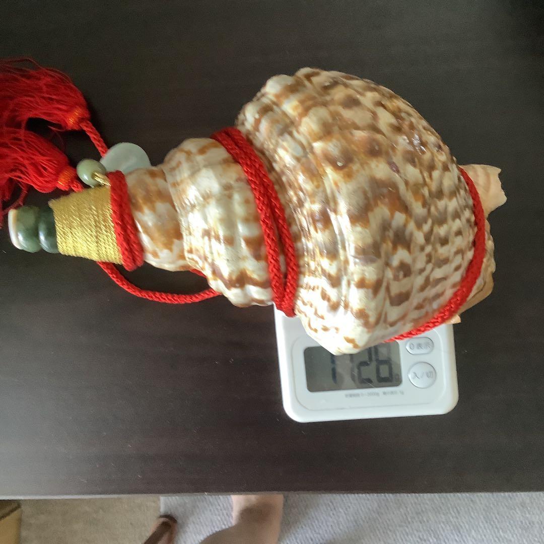 法螺貝①買特品