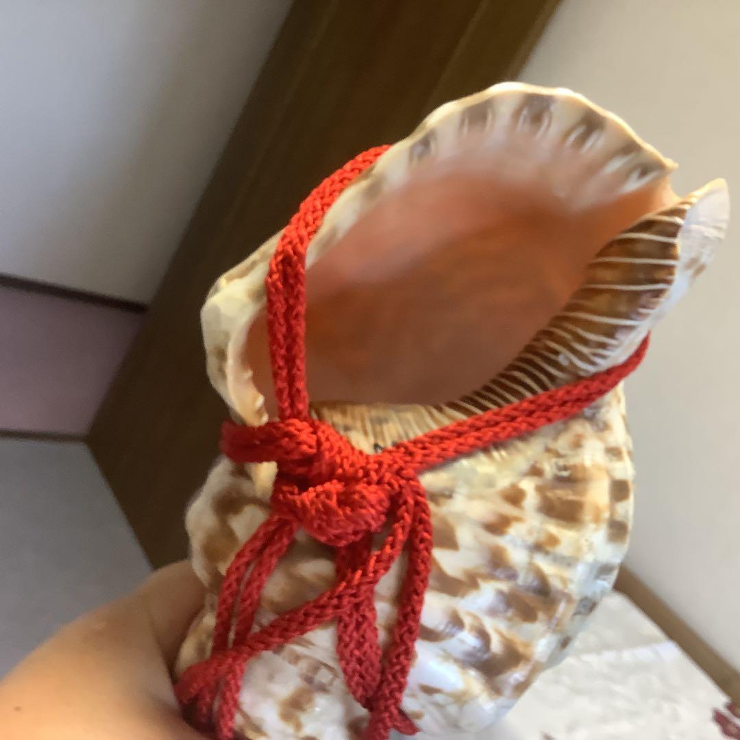 法螺貝①買特品