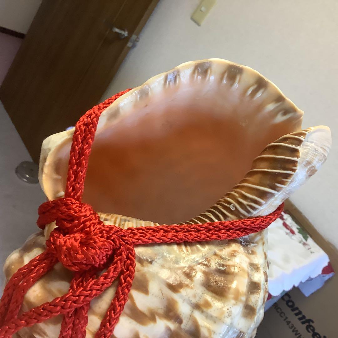 法螺貝①買特品
