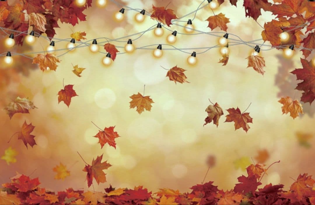 紅葉　背景布秋XD③　ペット撮影用　80×120cm　トリミングチョーカー販売中