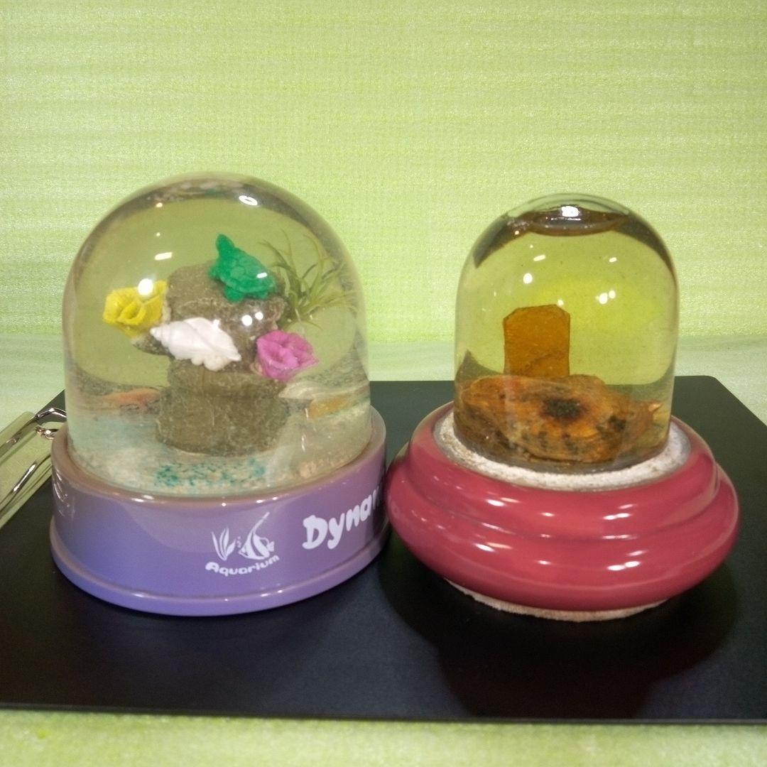 ①Dynamic Aquarium　②真珠貝　ガラスドーム　①②セット　おまとめ