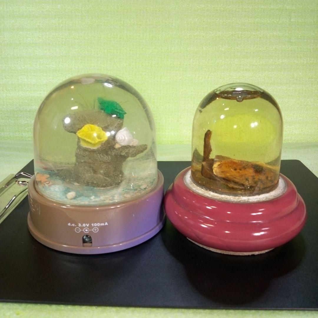 ①Dynamic Aquarium　②真珠貝　ガラスドーム　①②セット　おまとめ