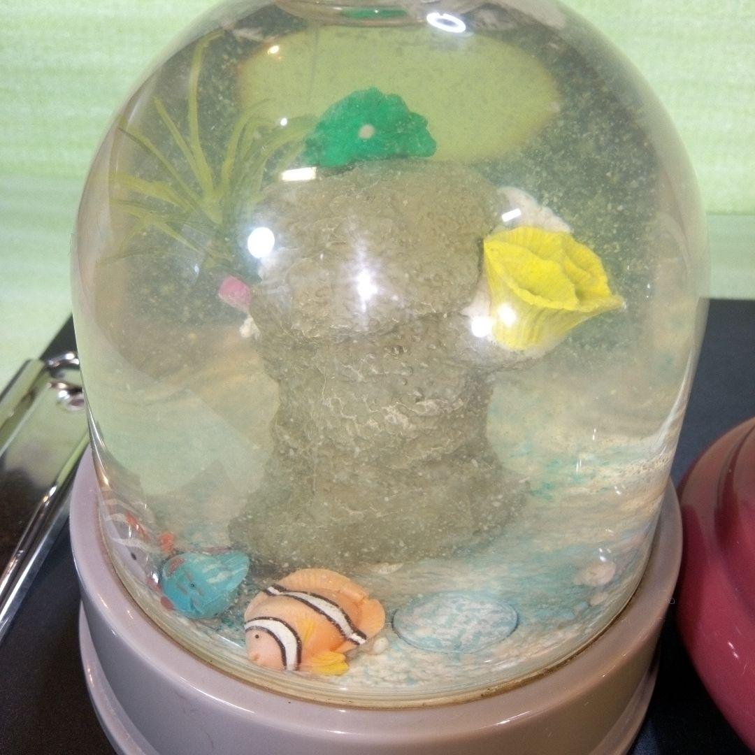 ①Dynamic Aquarium　②真珠貝　ガラスドーム　①②セット　おまとめ